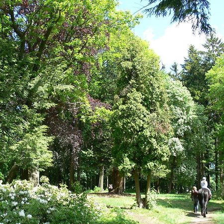 Parkhotel Smržovka Εξωτερικό φωτογραφία